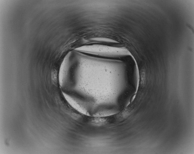 X0000100390278200806271404