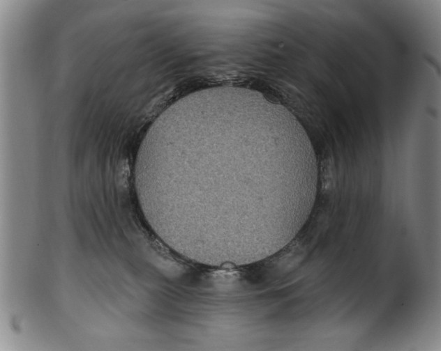 X0000100390279200806271404