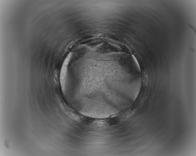 X0000100390280200806271404