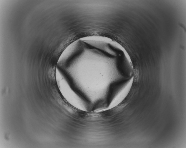 X0000100390286200806271404