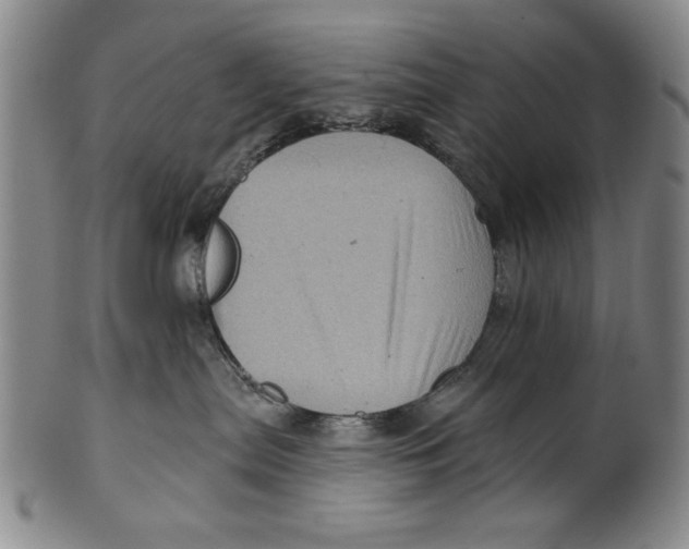 X0000100390287200806271404