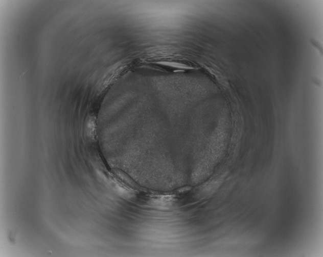 X0000100390288200806271404