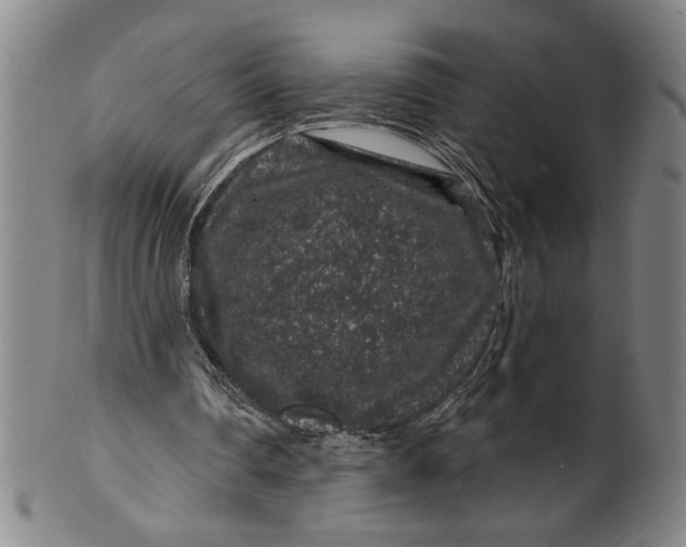 X0000100390290200806271403