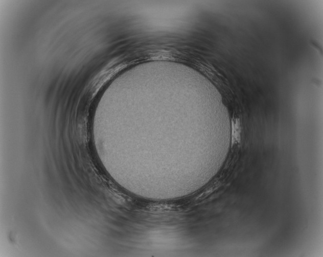 X0000100390291200806271403