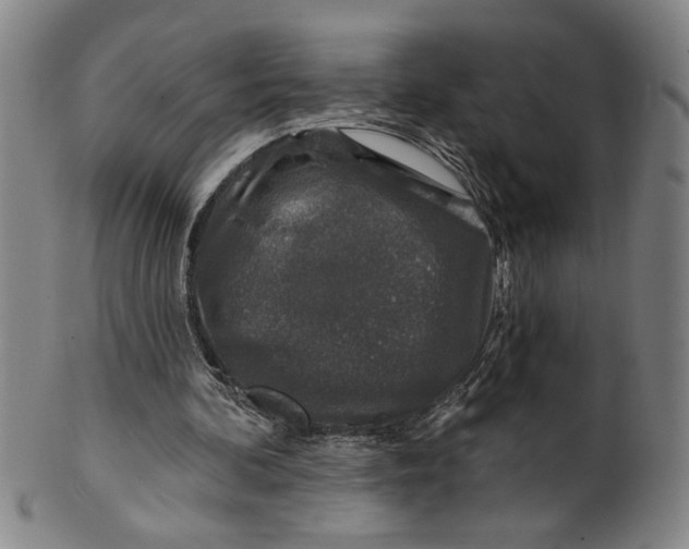 X0000100390292200806271403