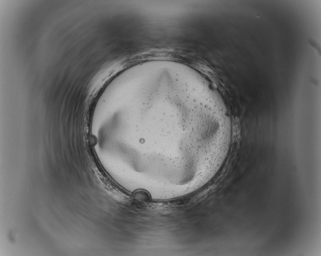 X0000100390293200806271403