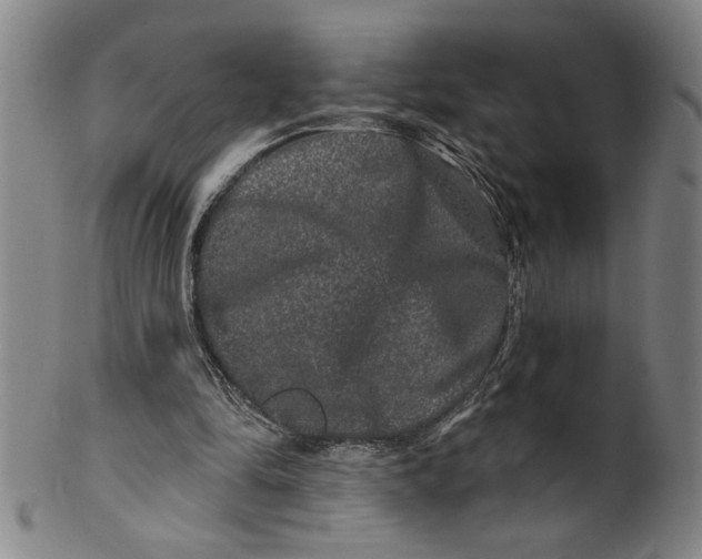 X0000100390294200806271403