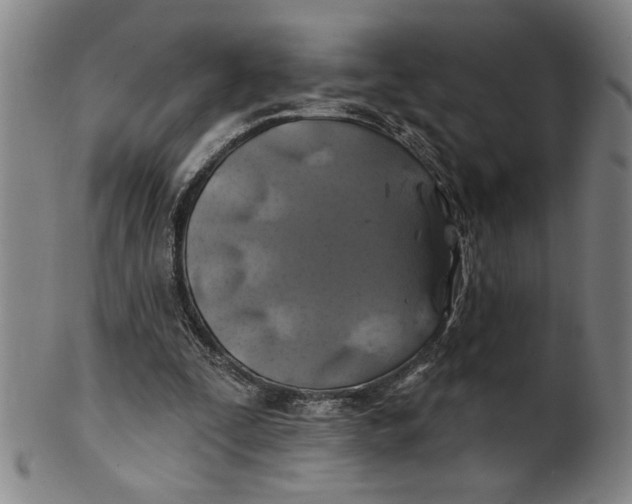 X0000100390295200806271403