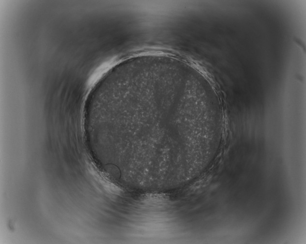 X0000100390296200806271403