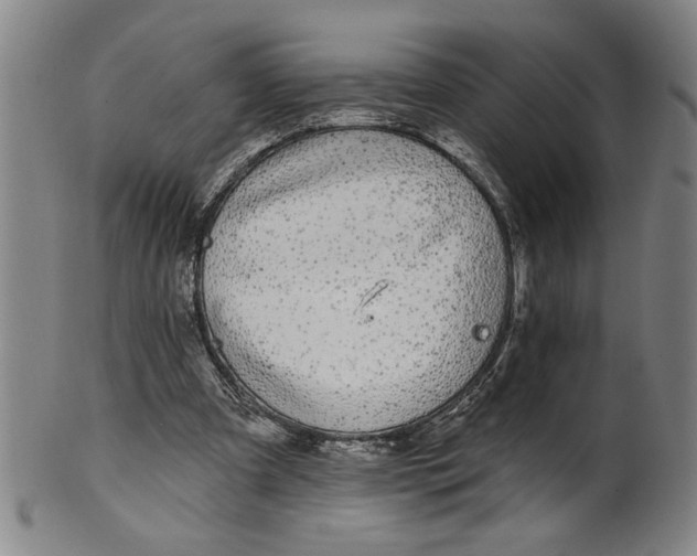 X0000100390297200806271403