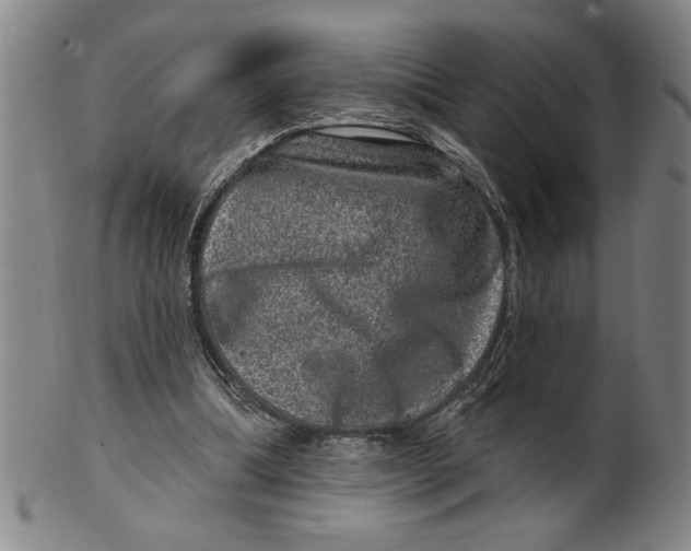 X0000100390298200806271403