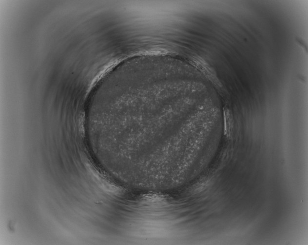 X0000100390300200806271403