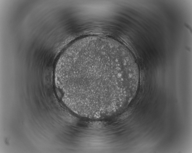 X0000100390301200806271403