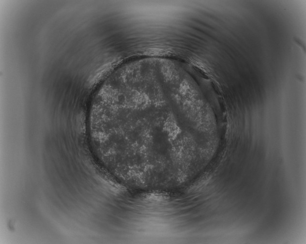 X0000100390303200806271403