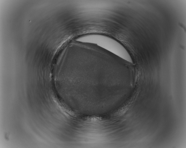 X0000100390304200806271403