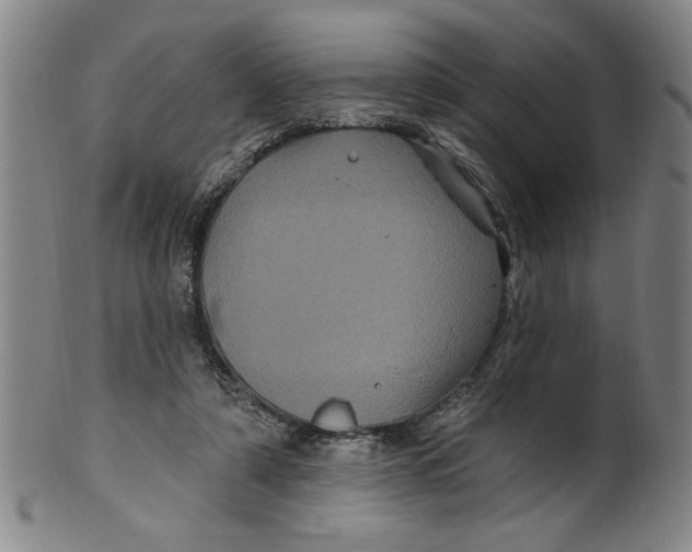 X0000100390306200806271403