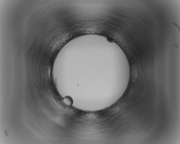 X0000100390310200806271403