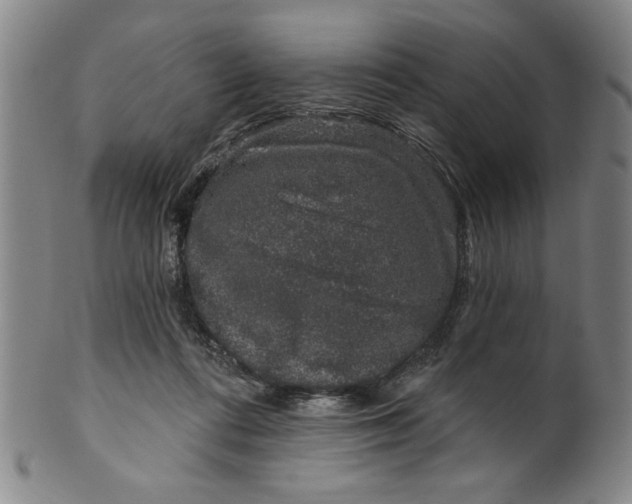 X0000100390312200806271403