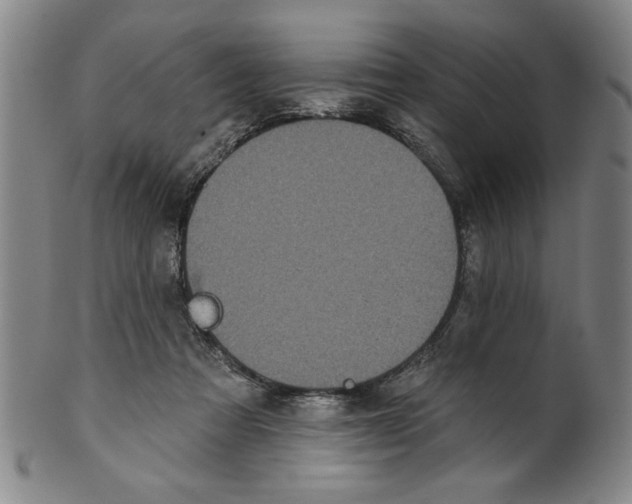 X0000100390313200806271403