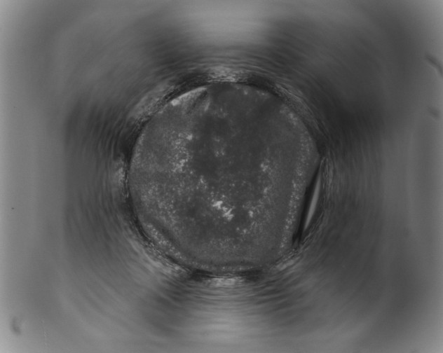 X0000100390314200806271403