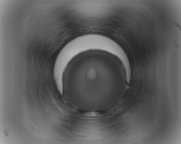 X0000100390316200806271403