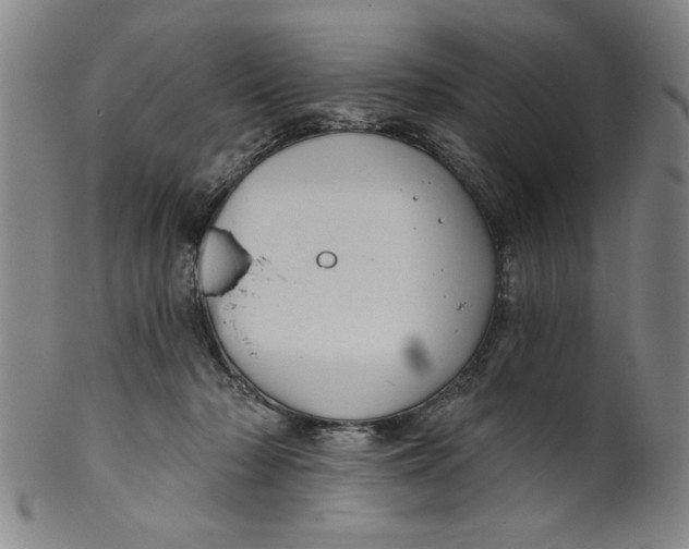 X0000100390318200806271403