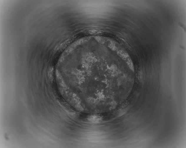 X0000100390319200806271403