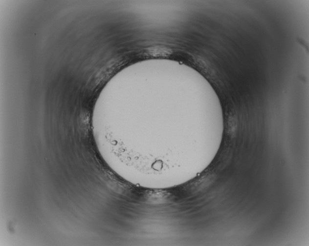 X0000100390321200806271403