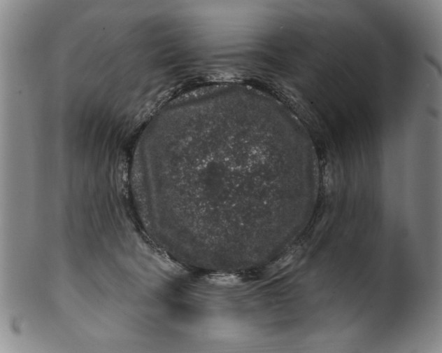 X0000100390322200806271403