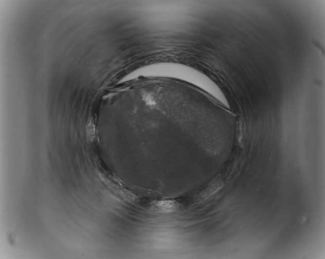 X0000100390324200806271403