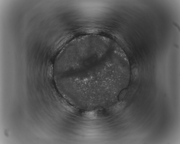 X0000100390325200806271403