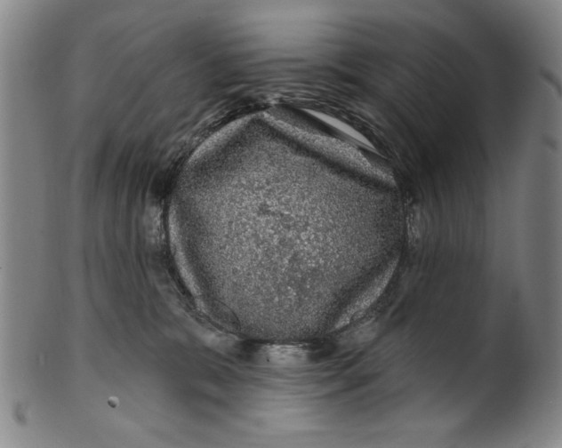 X0000100390327200806271403