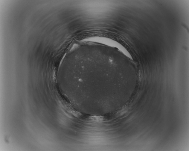 X0000100390328200806271403