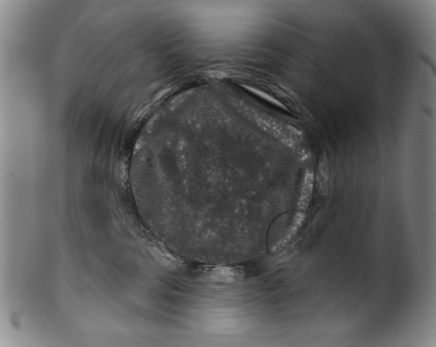 X0000100390330200806271403