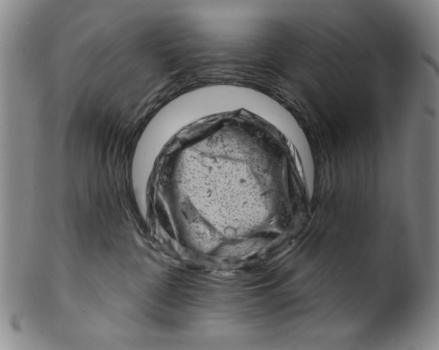 X0000100390332200806271403