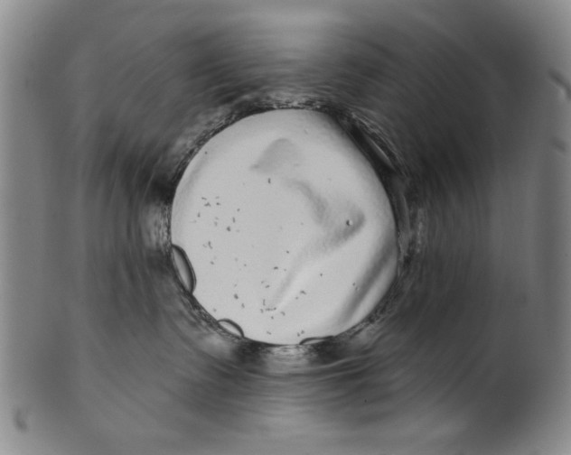 X0000100390335200806271403