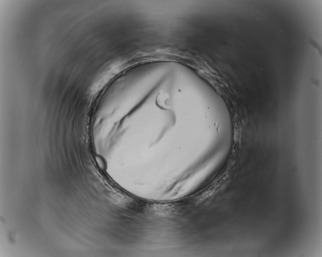 X0000100390341200806271402