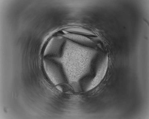 X0000100390342200806271402