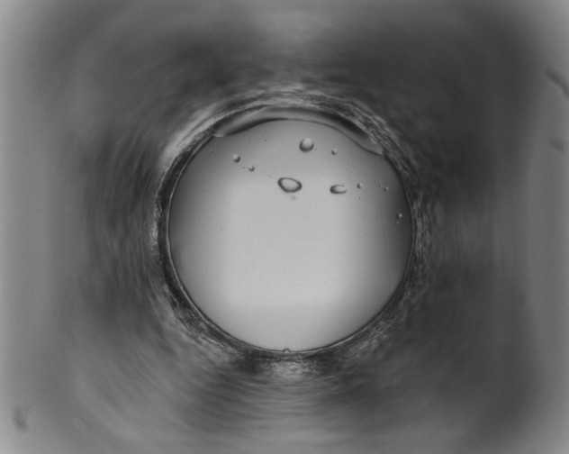 X0000100390344200806271402