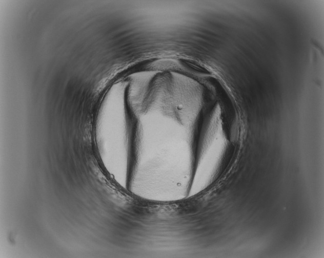 X0000100390345200806271402