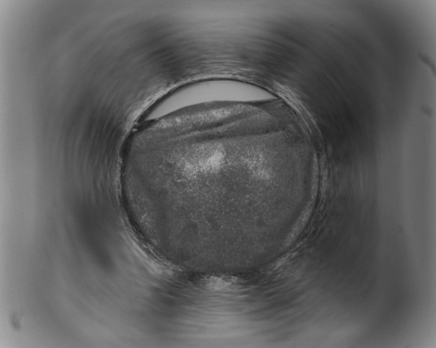 X0000100390346200806271402