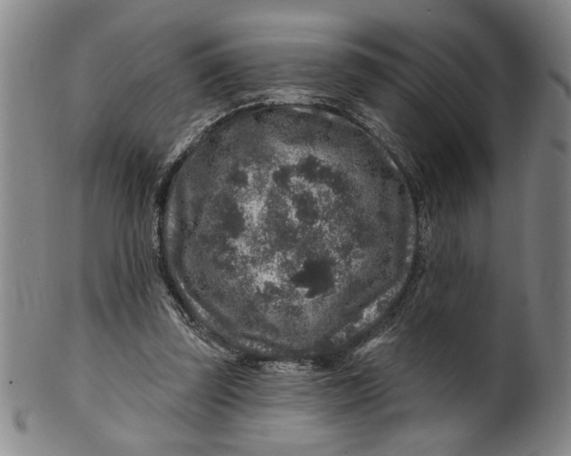 X0000100390347200806271402