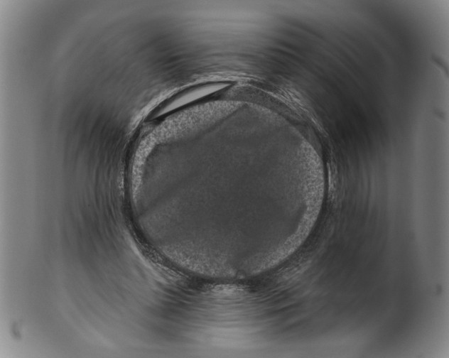 X0000100390348200806271402