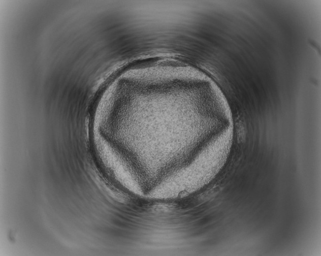 X0000100390350200806271402