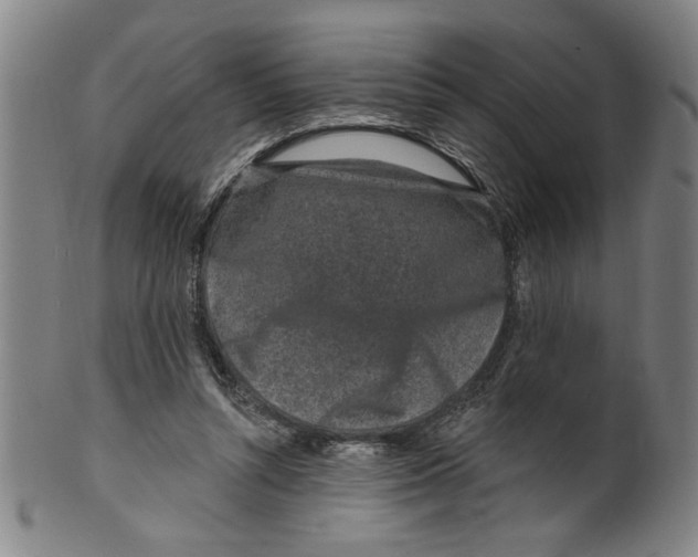 X0000100390352200806271402