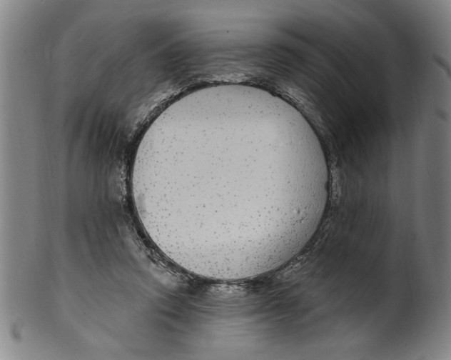 X0000100390354200806271402