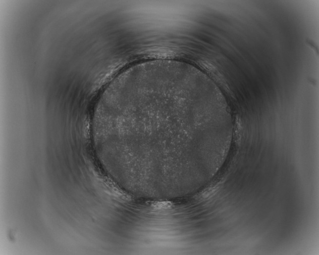 X0000100390355200806271402