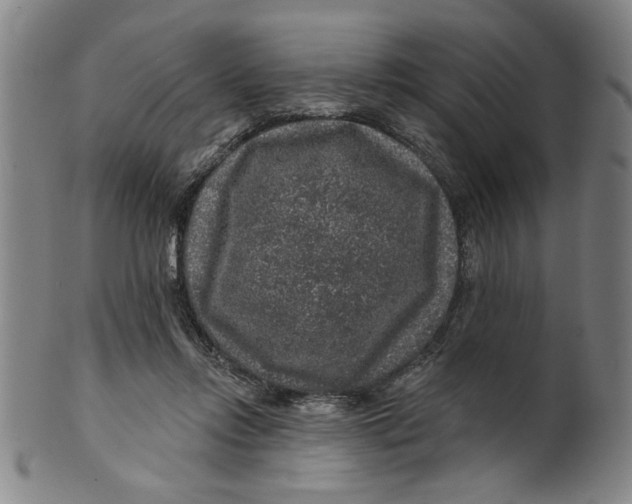 X0000100390358200806271402