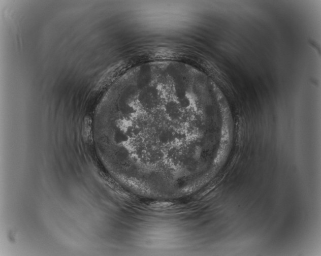 X0000100390361200806271402