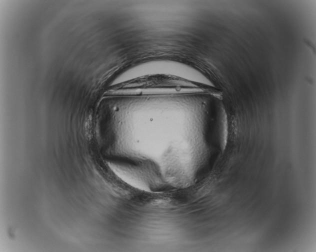 X0000100390364200806271402